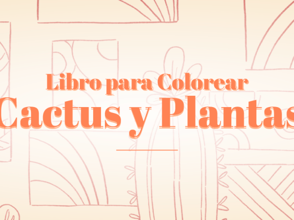 Cactus y Plantas | Free&nbsp;Stuff